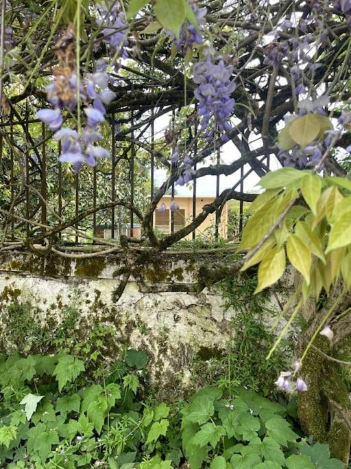 Gite Lilas Ideal Pour 4 Pers Capian Esterno foto